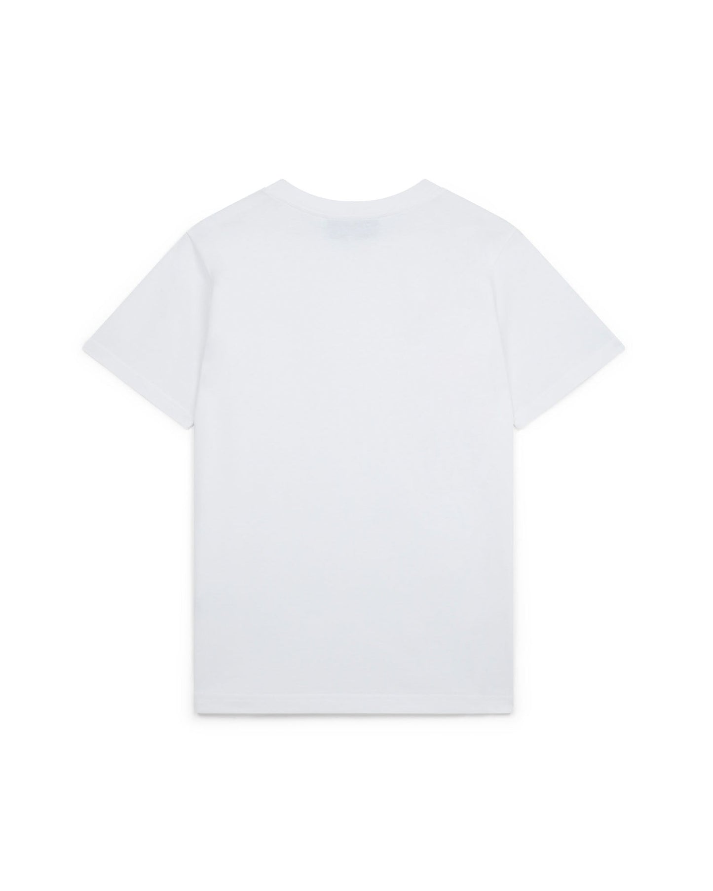 Playful Eagle T-Shirt