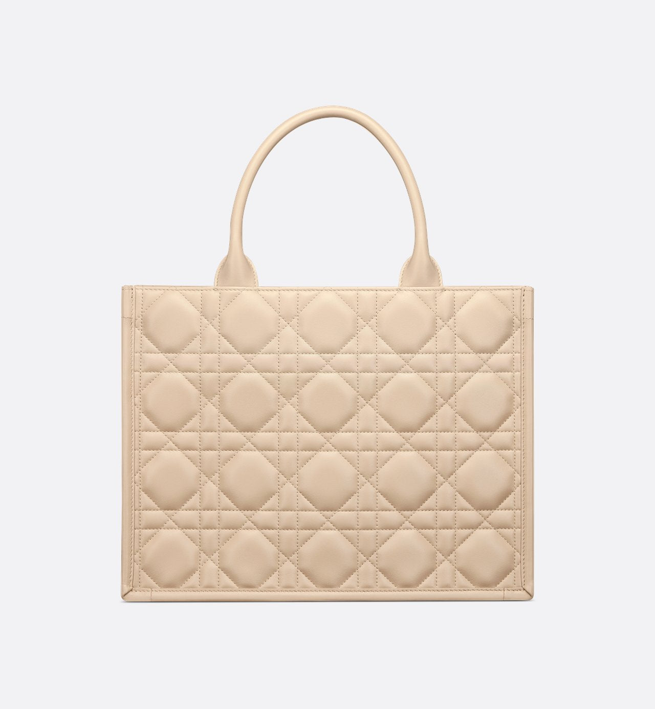 Sac Dior Book Tote Medium