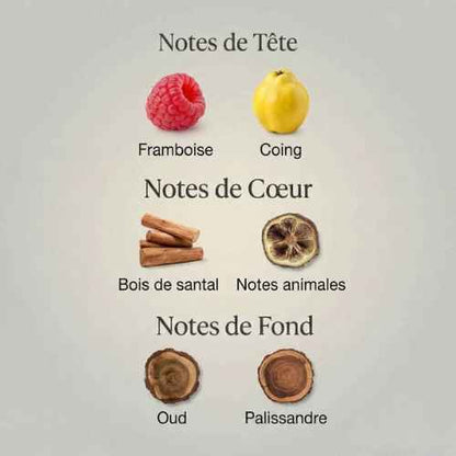 Parfum Oud Rosewood unisexe