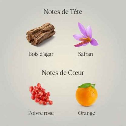 Parfum Purple Oud unisexe