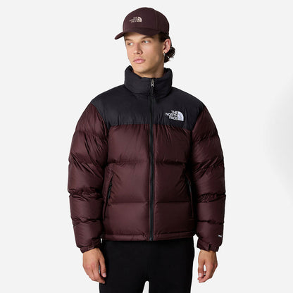 Veste Nuptse - Marron