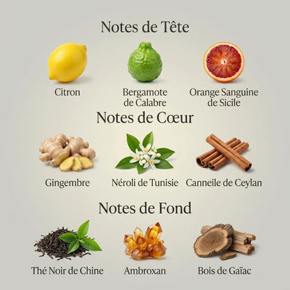 Parfum Imagination pour homme