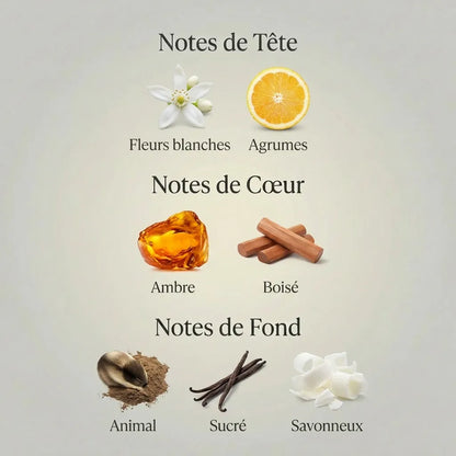 Parfum Stellar Times Louis Vuitton unisexe