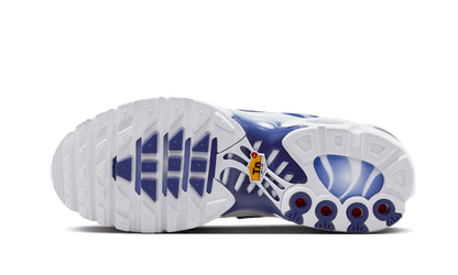 Nike® Air Max Plus Blue Fade